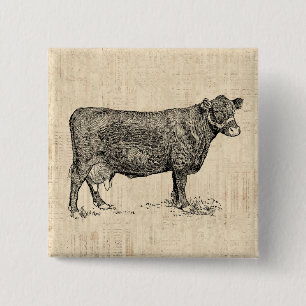 Illustratie van de Koe van het land Vierkante Button 5,1 Cm