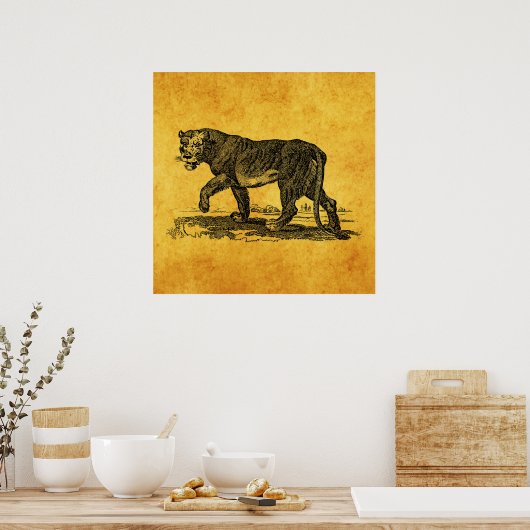 Illustratie van de  Leeuwen - Afrikaanse leeuw van Poster (Keuken)