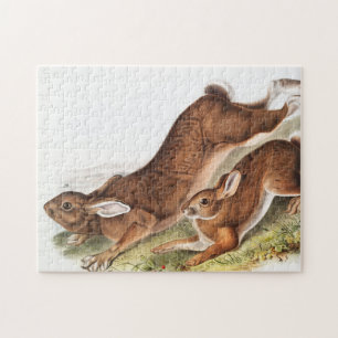 Illustratie van de noordelijke haas (Lepus America Legpuzzel