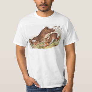 Illustratie van de noordelijke haas (Lepus America T-shirt