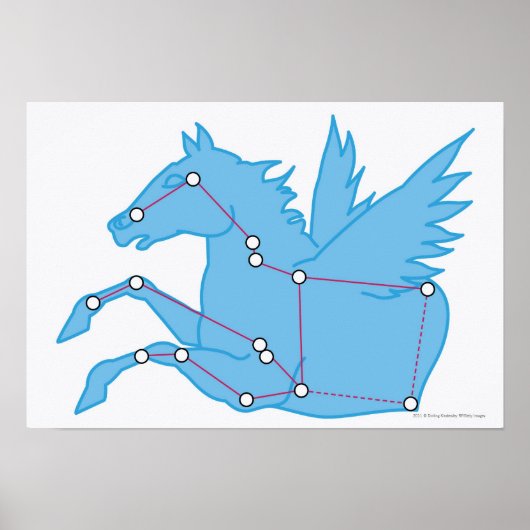 Illustratie van de Pegasus-constellatie Poster (Voorkant)