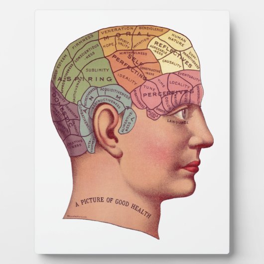 Illustratie van de  remfunctie fotoplaat (Voorkant)