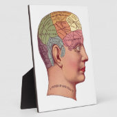 Illustratie van de  remfunctie fotoplaat (Zijkant)