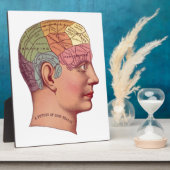 Illustratie van de  remfunctie fotoplaat (Zijkant)