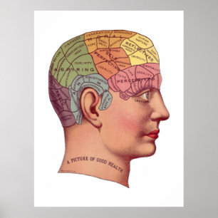 Illustratie van de remfunctie poster