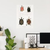  illustratie van de schildpadden poster (Thuiskantoor)