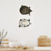  illustratie van de schildpadden poster (Keuken)