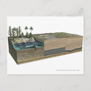 Illustratie van de steenkoolvorming briefkaart