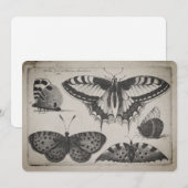 Illustratie van de  Swallowtail Butterfly (60) Kaart (Voorkant / Achterkant)