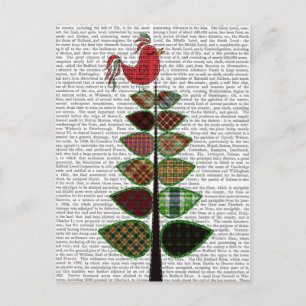 Illustratie van de Tartanboom Briefkaart