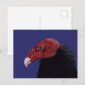 Illustratie van de Turks-Cypriotische wijnbouw Briefkaart (Voorkant / Achterkant)