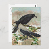 Illustratie van de vogel van de Krokoen Briefkaart (Voorkant / Achterkant)