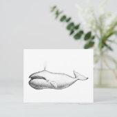 Illustratie van de  walvis briefkaart (Staand voorkant)