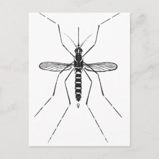 Illustratie van de wetenschappelijke nomenclatuur briefkaart