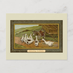  illustratie van dieren Consulting van de Oracle Briefkaart