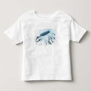 Illustratie van dolfijnen die naar een boot kijken kinder shirts
