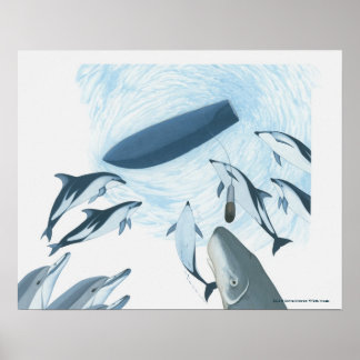 Illustratie van dolfijnen die naar een boot kijken poster