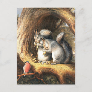 illustratie van eekhoorns en vogels briefkaart