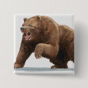 Illustratie van een bruin beer vierkante button 5,1 cm