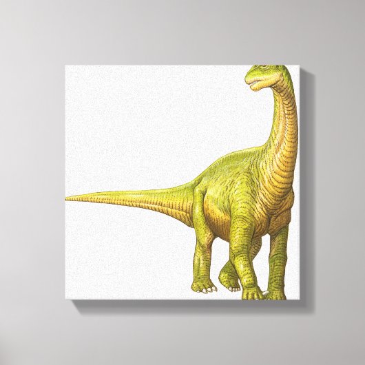 Illustratie van een Camarasaurus Canvas Afdruk (Voorkant)