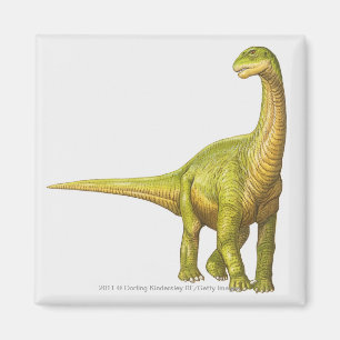 Illustratie van een Camarasaurus Magneet