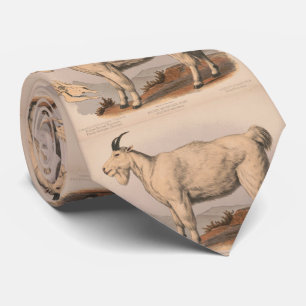  illustratie van een geit (1874) stropdas