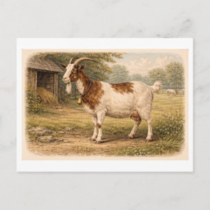 Illustratie van een geit in vintage stijl briefkaart