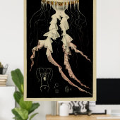  illustratie van een kwal (1853) poster (Thuiskantoor)