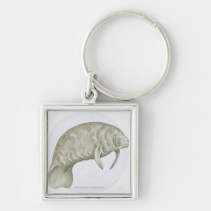Illustratie van een lamantijn (Trichechus sp.) Sleutelhanger