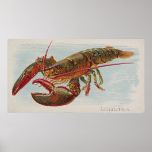  illustratie van een Lobster (1889) Poster