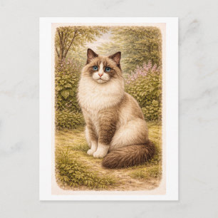 Illustratie van een ragdoll kat in vintage stijl briefkaart