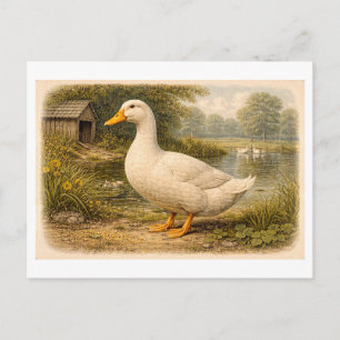 Illustratie van eend in vintage-stijl briefkaart