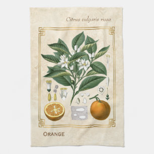 illustratie van fruit Oranje botanische kunst Theedoek