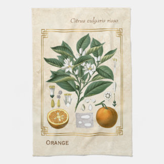 illustratie van fruit Oranje botanische kunst Theedoek
