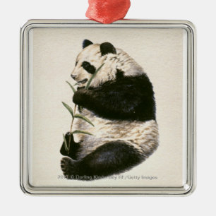Illustratie van Giant panda die op bamboe voedt Metalen Ornament