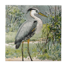 Illustratie van Great Blue Heron