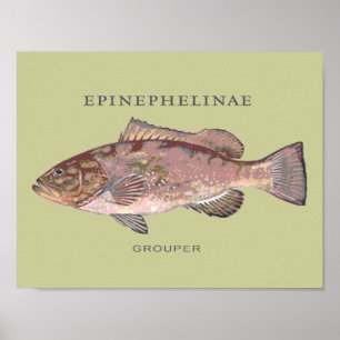 Illustratie van groepsvis poster