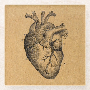 illustratie van hartdiagram illustratie kunst glazen onderzetter
