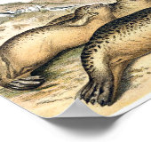 Illustratie van  havenzegels poster (Hoek)