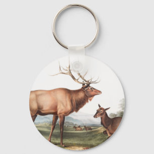 Illustratie van het Amerikaanse Elk (Cervus Canade Sleutelhanger