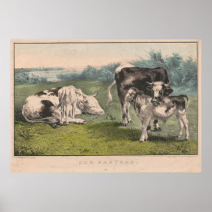 Illustratie van het  Boerderij van runderen (1856) Poster