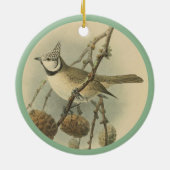 illustratie van het Europese Ceram met gebit Keramisch Ornament (Achterkant)