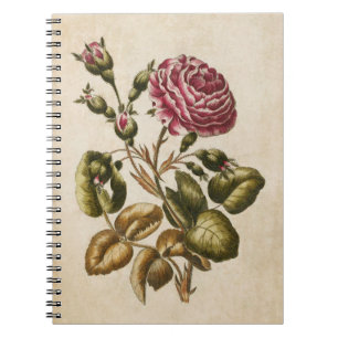 Illustratie van het flessenvlees van Roos Notitieboek