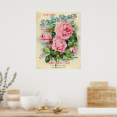 Illustratie van het Hoesje van de Catalogus van de Poster (Keuken)