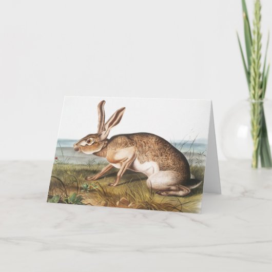Illustratie van het konijn van textielhaas (Lepus  Kaart (Voorkant)