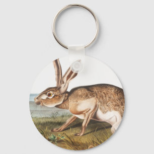Illustratie van het konijn van textielhaas (Lepus  Sleutelhanger