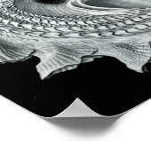  illustratie van het mariene leven poster (Hoek)