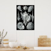  illustratie van het mariene leven poster (Keuken)