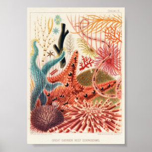  illustratie van het mariene leven poster