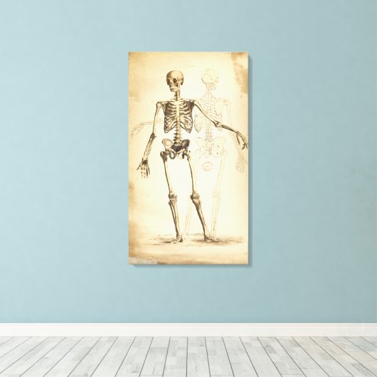 illustratie van het menselijk skelet canvas afdruk (Insitu (Houten vloer))